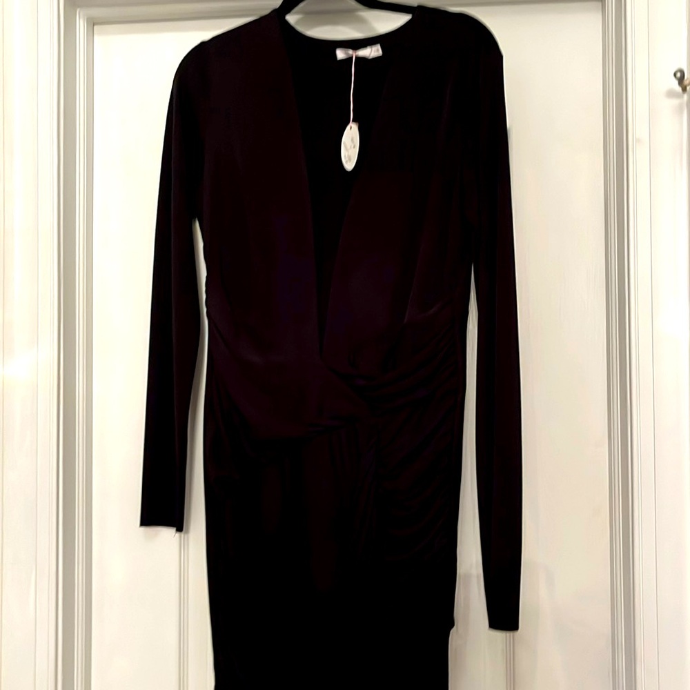 Bailey 44 beautiful deep v sheer neckline with ruched mid section